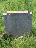 image of grave number 478421